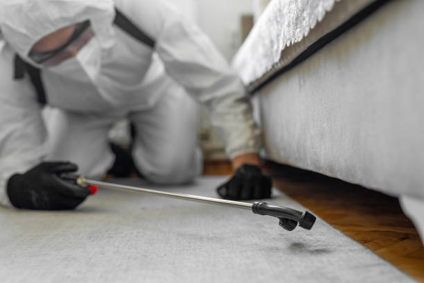 Professional Bed Bug Control technician working in Ironton, OH