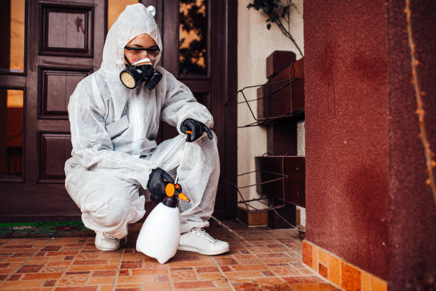 Reliable Bed Bug Control contractor in Ironton, OH by Nex Pest Control