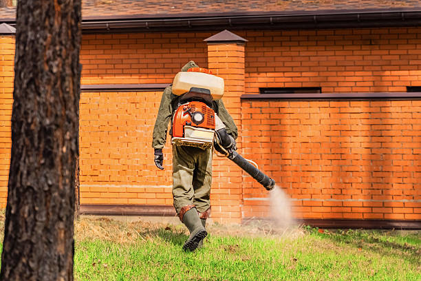 Top rated local Bed Bug Control specialists in Ironton, OH